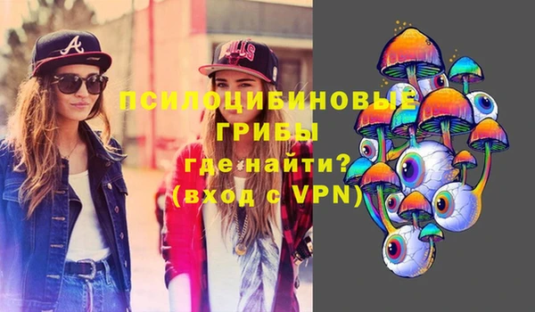 гидропоника Медвежьегорск