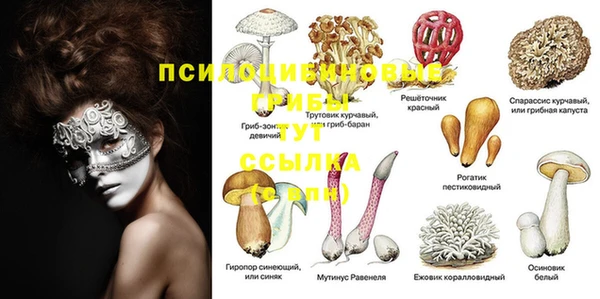 гидропоника Медвежьегорск