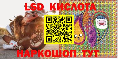 амф Заволжье