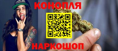 прущие грибы Балаково