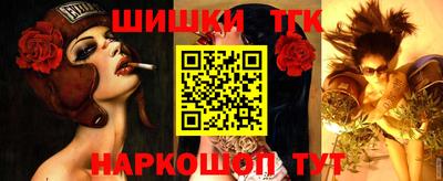 амф Заволжье