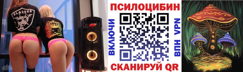 наркота  Новокубанск  Псилоцибиновые грибы мицелий 