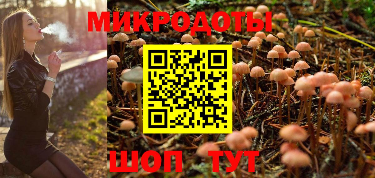 Галлюциногенные грибы Cubensis Новокубанск